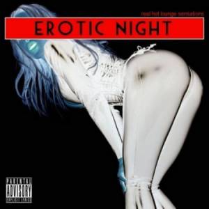 Erotic Night: Real Hot Lounge Sensations 2010